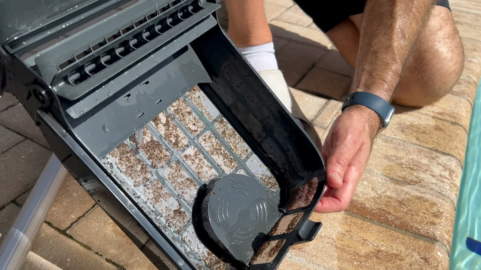 Dead ants and pool debris collected in the Aiper EcoSurfer S2 filter basket