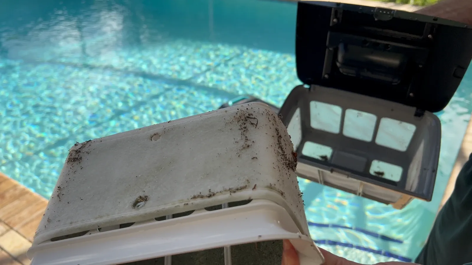 Algae and sediment collected in the Aiper Scuba V3 filter basket